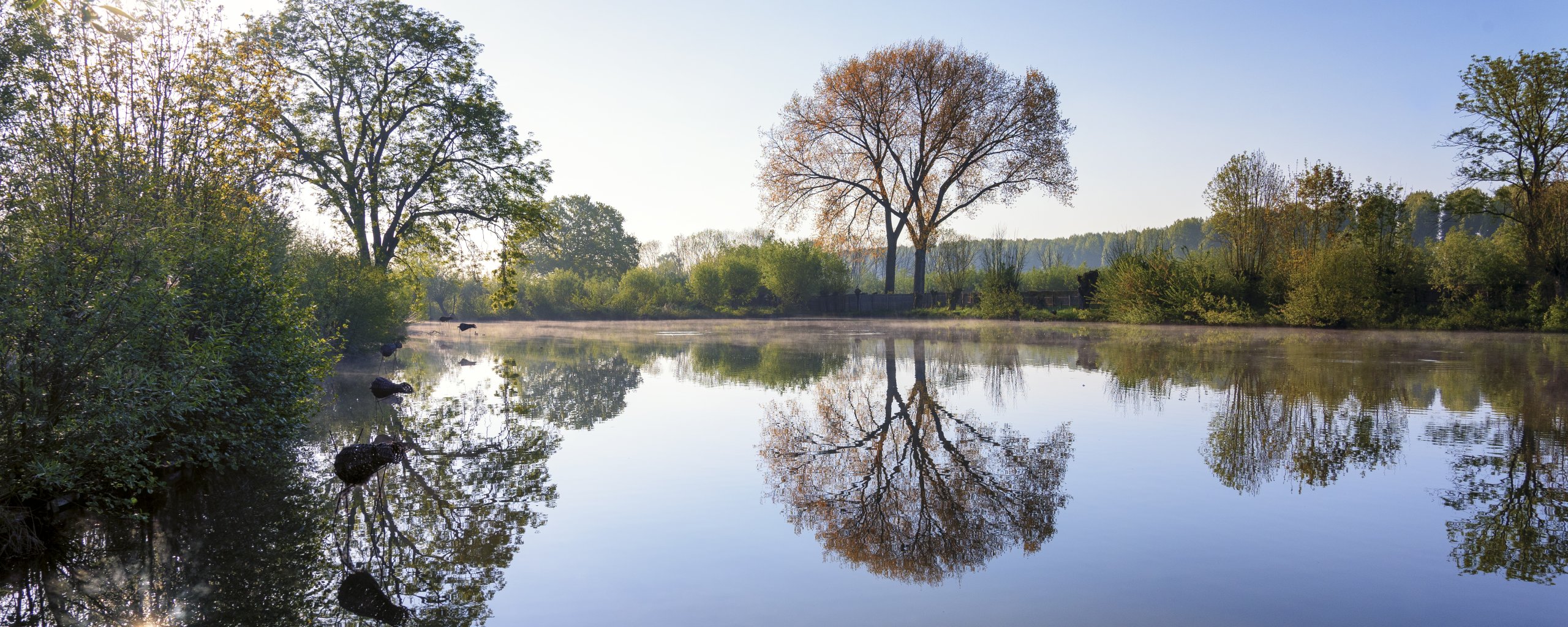 Eendenkooi, Pompveld